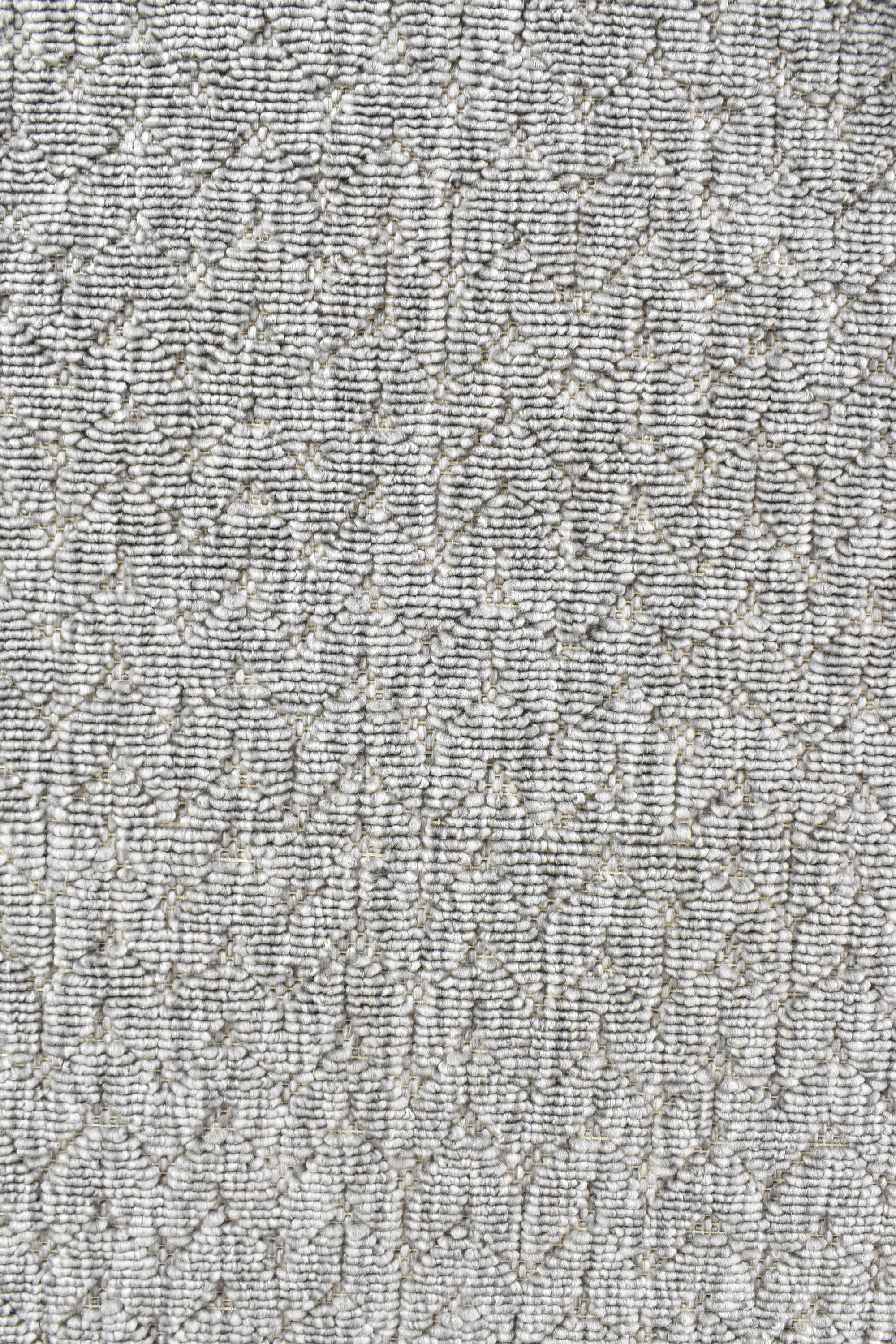 Fenix Grey Rug 20467-302