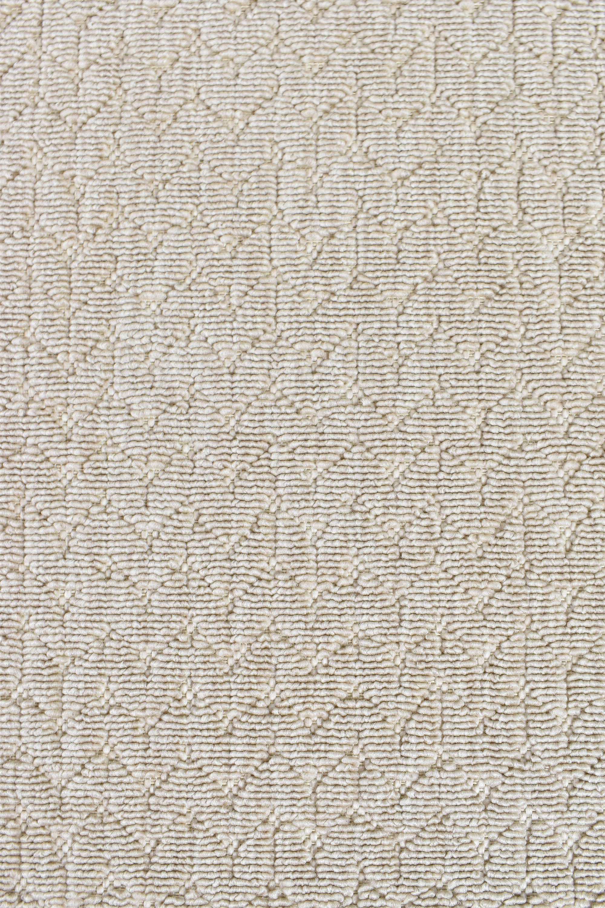 Fenix Beige Rug 20467-508