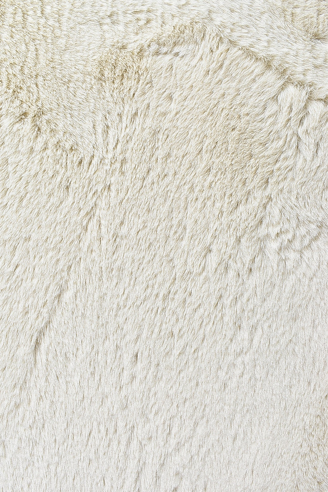 Plush Shaggy Beige Rug
