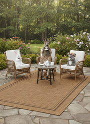 Himalaya Bordo Brown