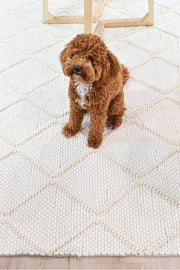 Allure Diamond Frost Wool Rug